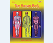 THINKING ABOUT SCIENCE: The Human Body (G6724AP)