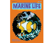 Creative Experiences in Science: Marine Life, Grades 35 (G3860AP)